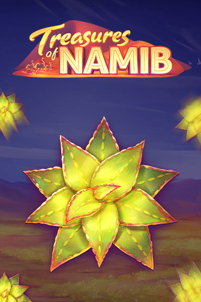 Treasures of Namib